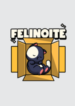 Felinoite graphic printed round neck tshirt